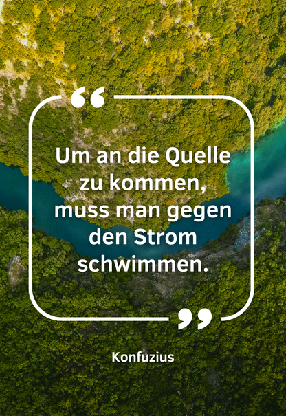 Um-an-die-Quelle-zu-kommen-muss-man-gegen-den-Strom-schwimmen-Motivationsleinwand-Motivationsposter-Wandbild-Wanddekoration-Spruch-themotivation.de