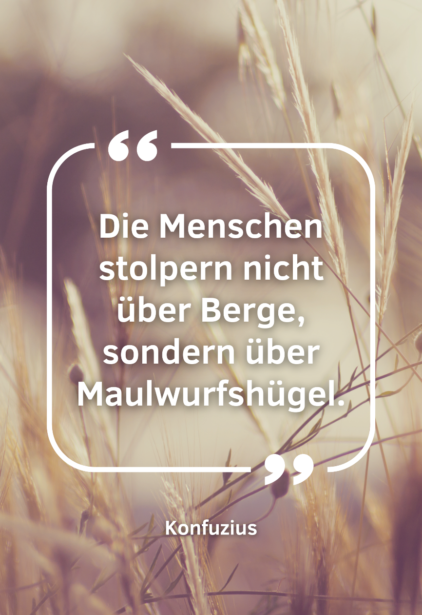 Die-Menschen-stolpern-nicht-ueber-Berge-sondern-ueber-Maulwurfshuegel-Motivationsleinwand-Motivationsposter-Wandbild-Wanddekoration-Spruch-themotivation.de